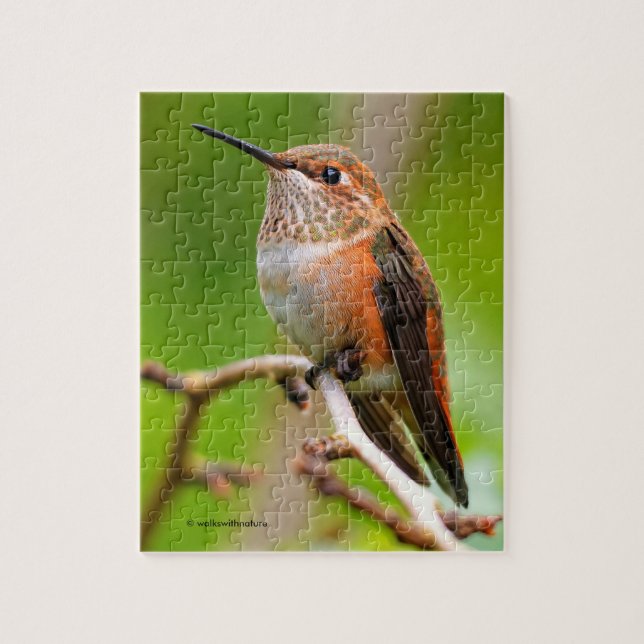Puzzle Colibrí rufosa hembra en el árbol de ciruelas (Vertical)