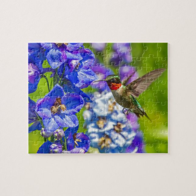 Puzzle Colibrí Y Delfino (Horizontal)