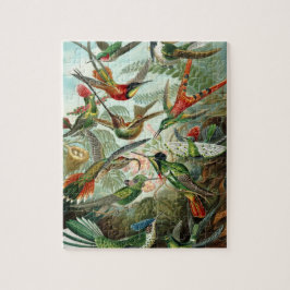 Puzzle Colibríes de Ernst Haeckel, aves vitícolas