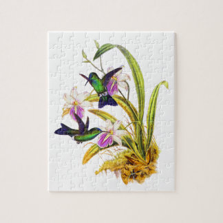 Puzzle Colibríes y orquídeas púrpuras