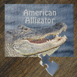 Puzzle Coligador americano sonriente