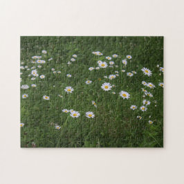 Puzzle Colina de margaritas