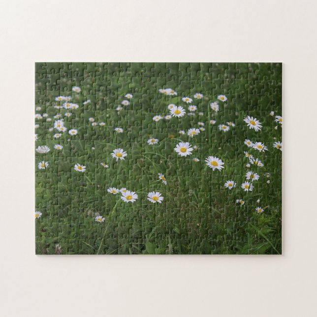 Puzzle Colina de margaritas (Horizontal)