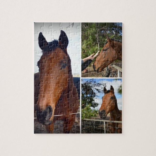 Puzzle Collage de fotos de caballos marrones, (Vertical)