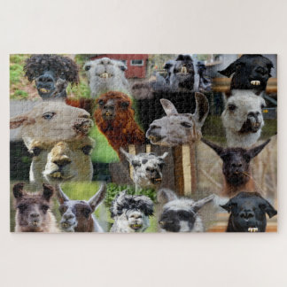 Puzzle Collage de fotos de Llama feo 16 imágenes del romp