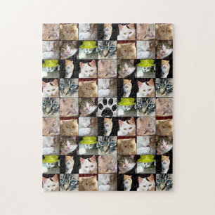 Puzzle Collage de fotos de los gatos