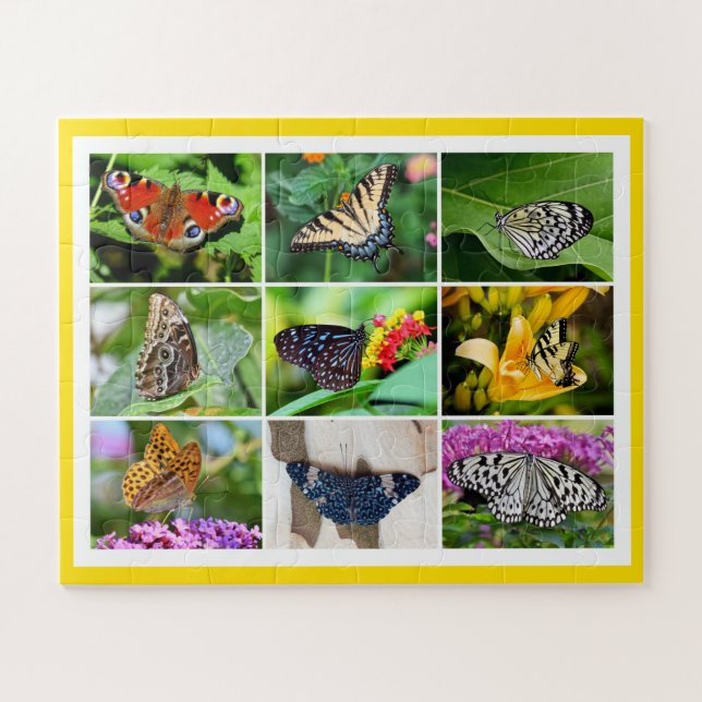 Puzzle Collage de fotos Gorgeous Butterflies, Edad 5, 56  (Horizontal)