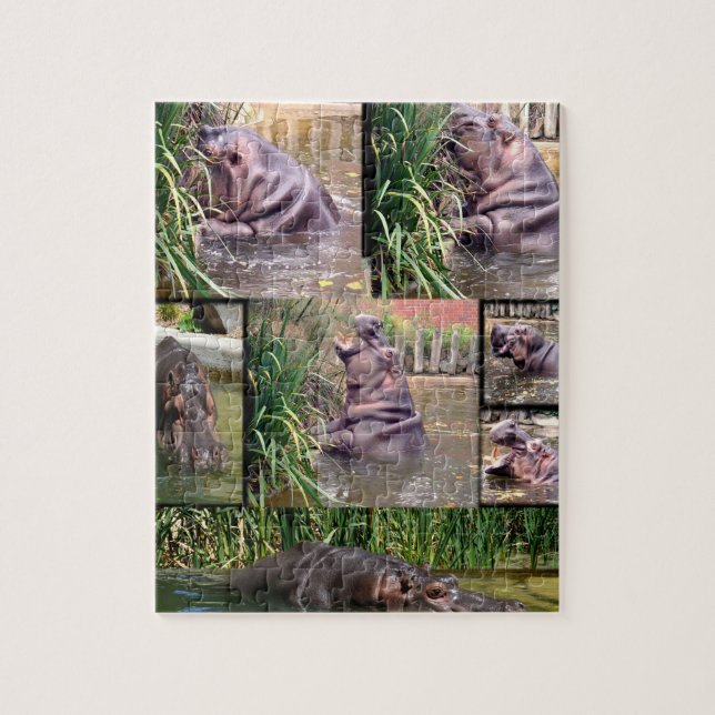 Puzzle Collage de fotos Hippo, (Vertical)