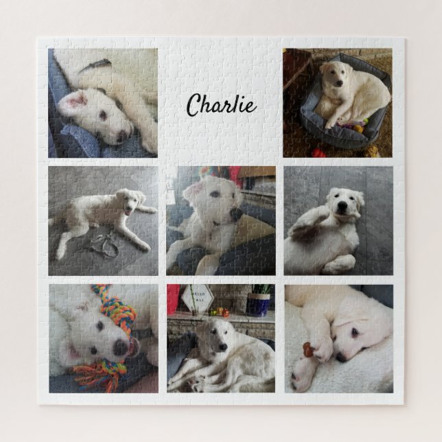 Puzzle Collage de fotos Mascota Montaje Perro o gato (Vertical)