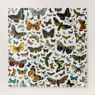 Puzzle Collage de la mariposa - decenas de mariposas y po