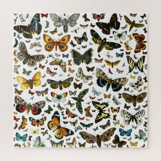 Puzzle Collage de la mariposa - decenas de mariposas y po (Vertical)