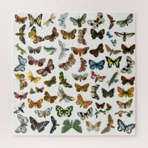 Puzzle Collage de mariposa, polilla y oruga Jigsaw Puz