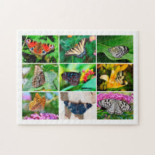 Puzzle Collage de mariposas deliciosas, edad 8, 252 pieza
