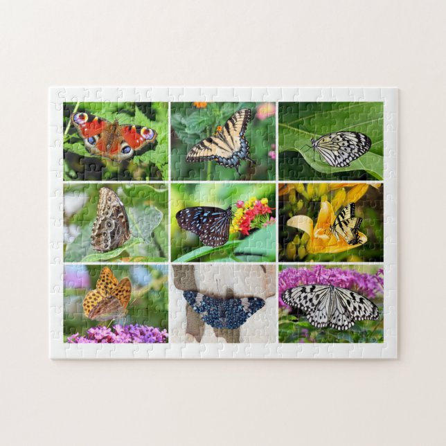 Puzzle Collage de mariposas deliciosas, edad 8, 252 pieza (Horizontal)