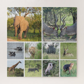 Puzzle collage de safari