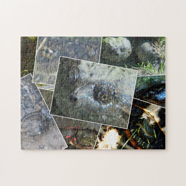 Puzzle Collage de tortuga (Horizontal)