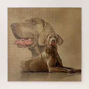 Puzzle Collage de Weimaraner Dogs