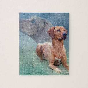 Puzzle Collage del perro de Rhodesian Ridgeback