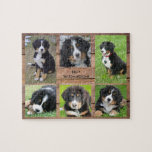Puzzle Collage familiar 6 fotos perro y apellido<br><div class="desc">Nombre de la familia,  rompecabezas del collage de fotos del perro personalizado. Puedes personalizarlo y agregar tus fotos más hermosas,  el nombre de tu perro y el nombre de tu familia. ¡Muy divertido!</div>