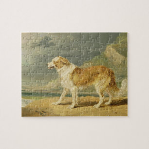 Puzzle collie Áspero-revestido, 1809 (aceite a bordo)