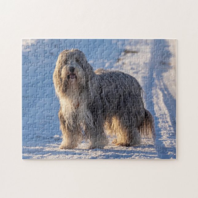 Puzzle Collie con barba en la nieve (Horizontal)