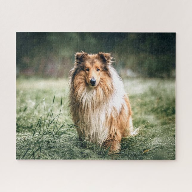 Puzzle Collie en la pradera tosca (Horizontal)