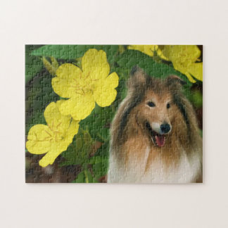 Puzzle Collie Yellow Primrose Dog Art