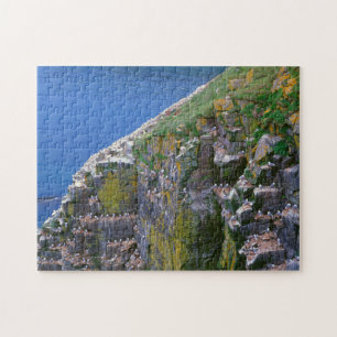 Puzzle Colonia de aves marinas en acantilado rocoso