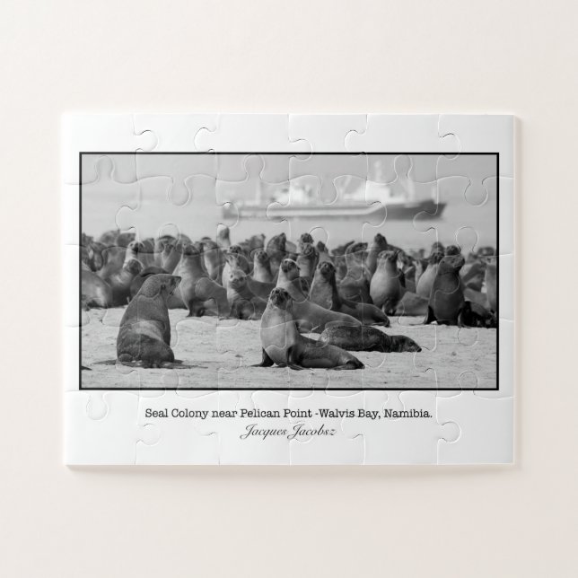 Puzzle Colonia de focas cerca de Pelican Point (Horizontal)