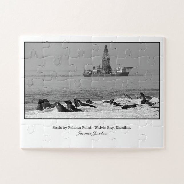 Puzzle Colonia de focas cerca del punto Pelican (Horizontal)