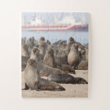 Colonia de focas de pieles del Cabo