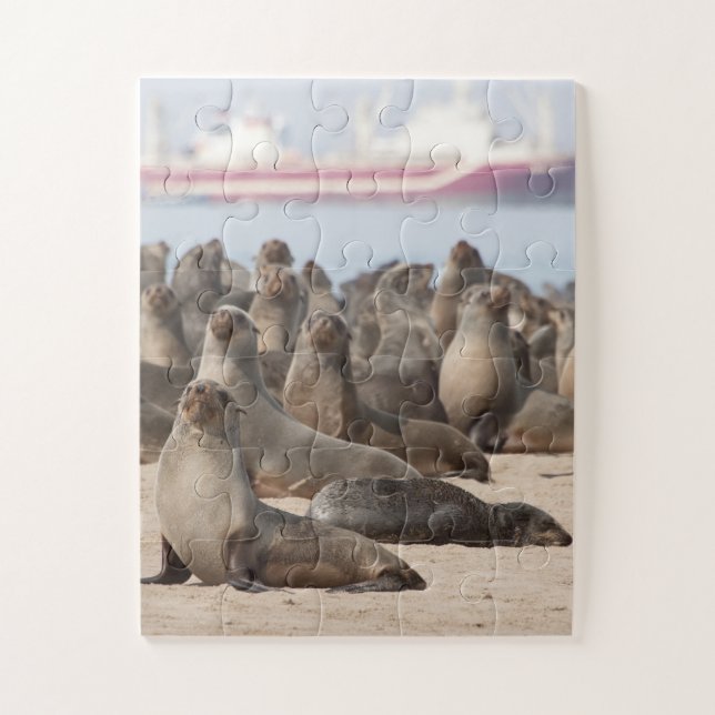 Puzzle Colonia de focas de pieles del Cabo (Vertical)