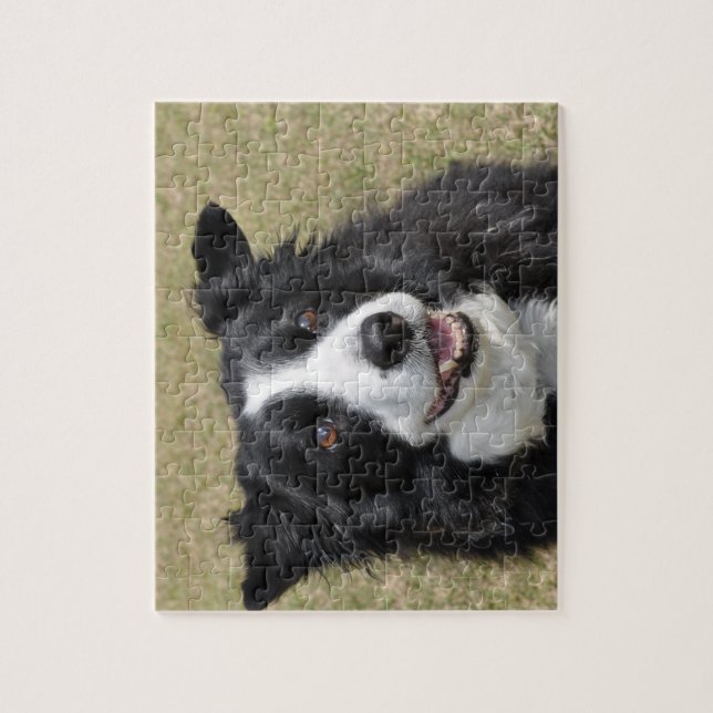 Puzzle Color del borde (Vertical)