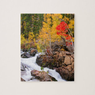 Puzzle Color otoñal a lo largo de Bishop Creek, CA