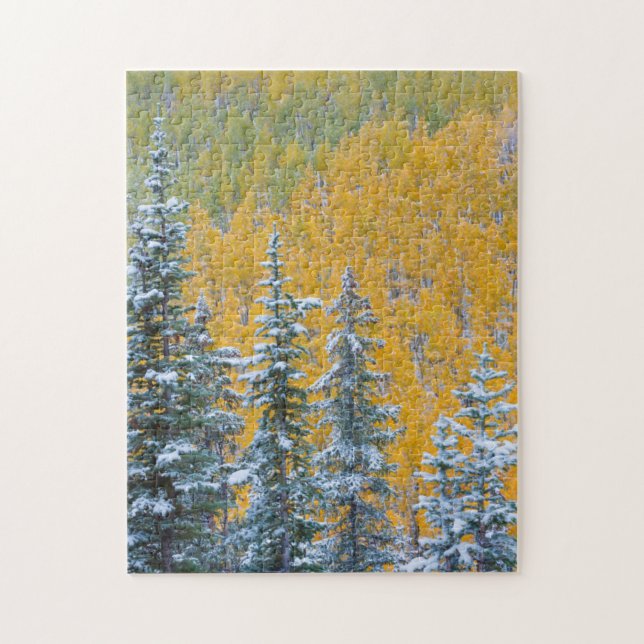 Puzzle Colorado, Grand Mesa. Nieve temprana sobre el bosq (Vertical)