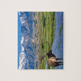 Puzzle Colorado Rocky Mountains Elk