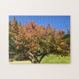 Puzzle Colored Maple Tree