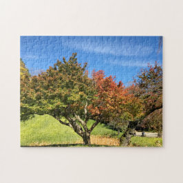 Puzzle Colored Maple Tree in Autumn