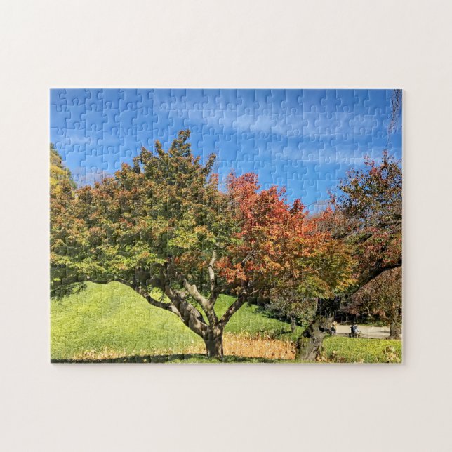 Puzzle Colored Maple Tree in Autumn (Horizontal)