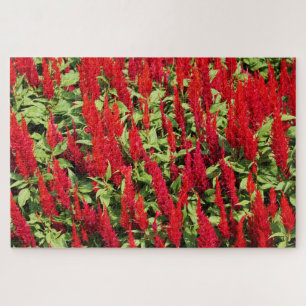 Puzzle Colores 1