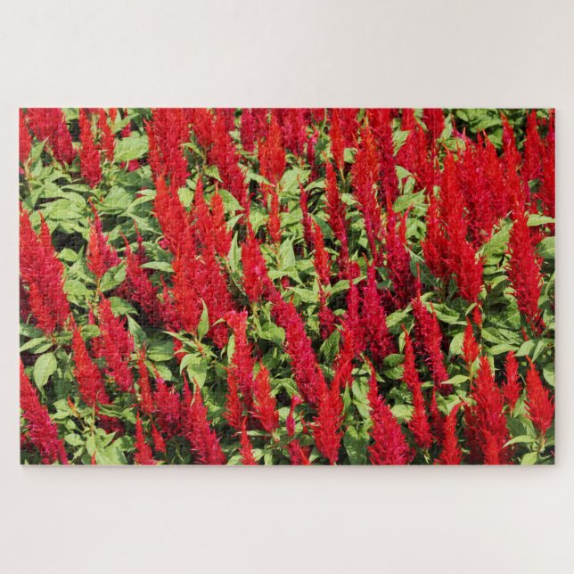 Puzzle Colores 1 (Horizontal)