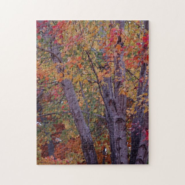 Puzzle Colores otoñales (Vertical)