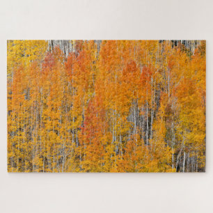 Puzzle Colores otoñales en los bosques de Aspen