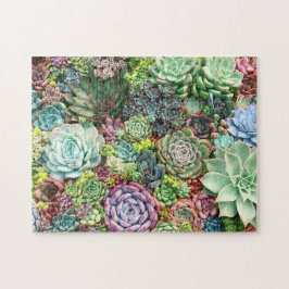Puzzle Colorful Succulent Garden