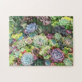 Puzzle Colorful Succulent Garden
