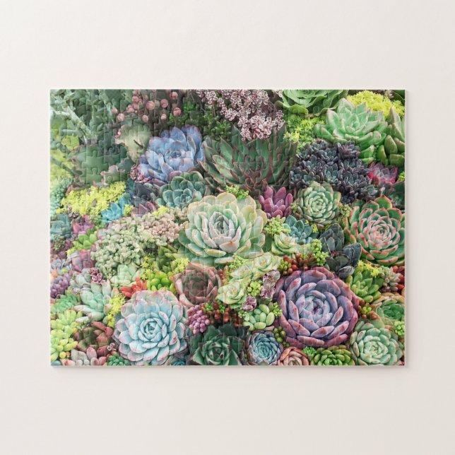 Puzzle Colorful Succulent Garden (Horizontal)