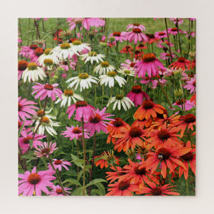 Puzzle Coloridas flores