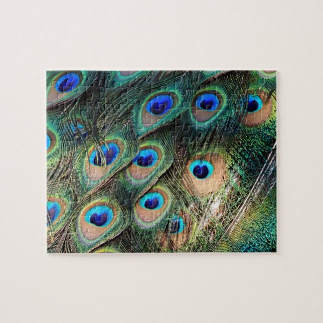 Puzzle Coloridas plumas de pavo real (Horizontal)