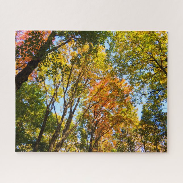 Puzzle Coloridas Treetops (Horizontal)