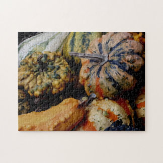 Puzzle Coloridos Gourds Fancy Photo Oil Pinting